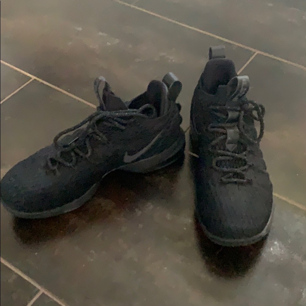 Nile LeBron men’s gym shoes